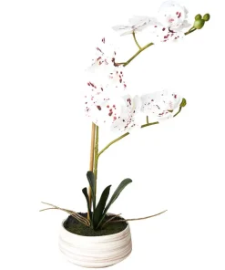 Joe Browns Blooming Marvellous Speckled Orchid- Artificial Plants|Floral Décor