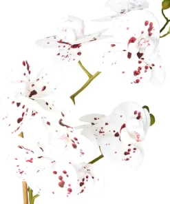 Joe Browns Blooming Marvellous Speckled Orchid- Artificial Plants|Floral Décor