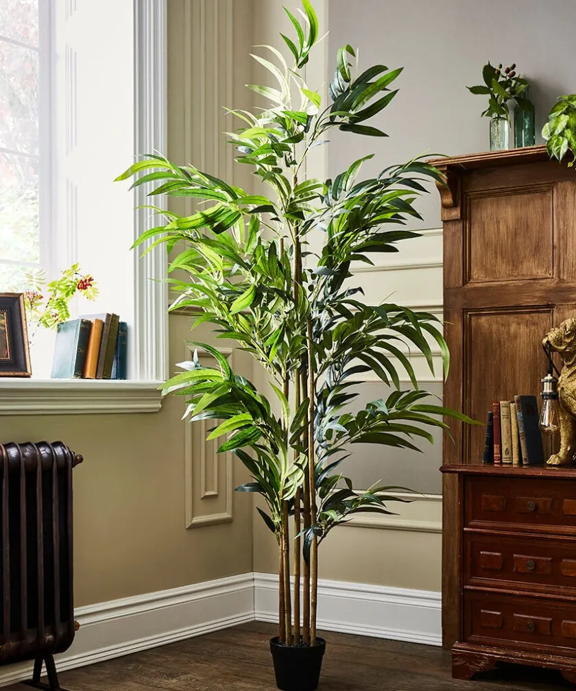 Joe Browns Brilliant Bamboo Plant- Artificial Plants|Floral Décor