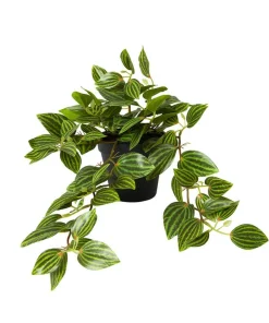 Joe Browns Gorgeous Tradescantia Zebrina Plant- Artificial Plants|Floral Décor