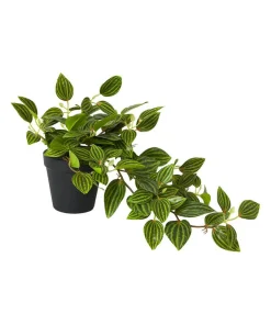 Joe Browns Gorgeous Tradescantia Zebrina Plant- Artificial Plants|Floral Décor