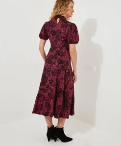 Joe Browns Lovely Lace Print Jersey Dress-Women Petite Collection|Dresses