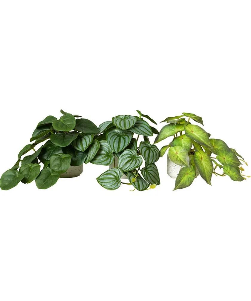Joe Browns Luscious ery In Speckled Ceramic Pots- Artificial Plants|Floral Décor