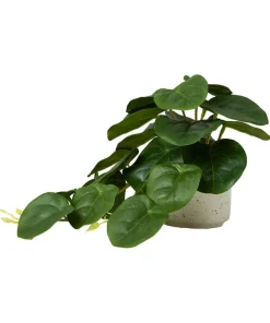 Joe Browns Luscious ery In Speckled Ceramic Pots- Artificial Plants|Floral Décor