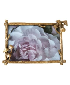 Joe Browns Mystical Mushroom Photo Frame- Home Accessories