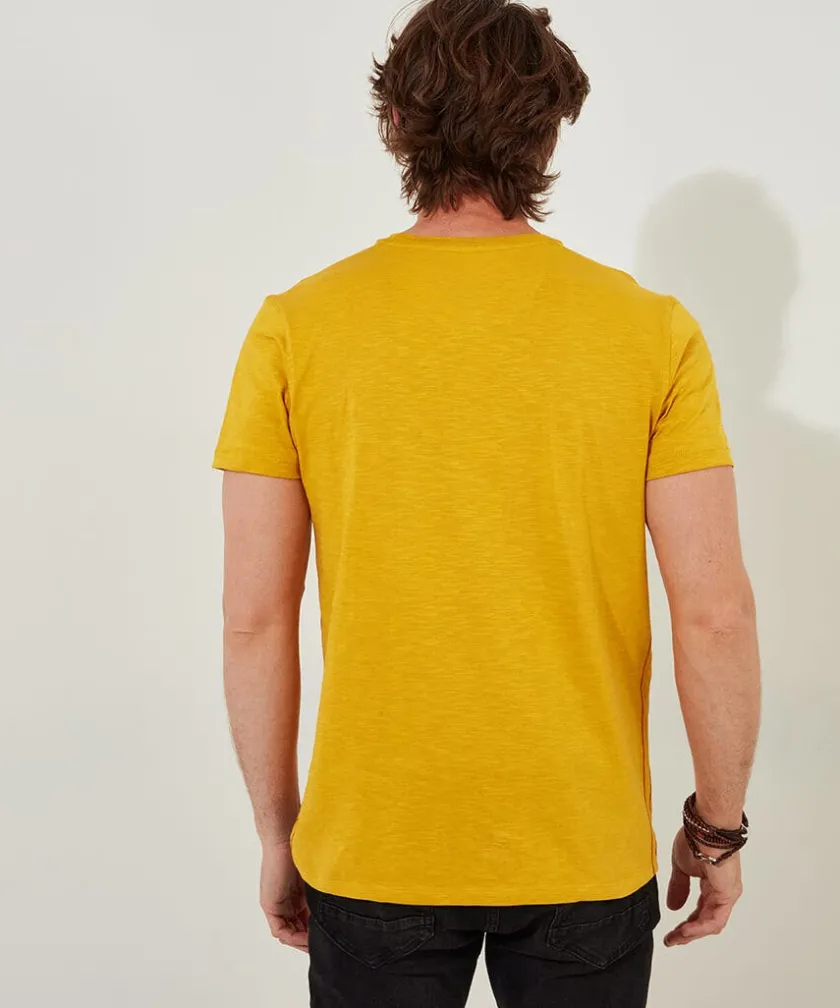 Joe Browns Retro Camera Tee- T-Shirts & Tops