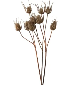 Joe Browns Set Of 3 Large Triple Teasle Plant Stems- Floral Décor|Home Accessories