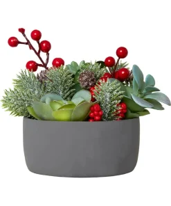 Joe Browns Tis The Season Succulent- Home Accessories|Christmas Homeware