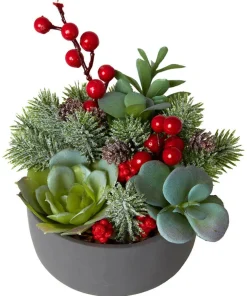 Joe Browns Tis The Season Succulent- Home Accessories|Christmas Homeware