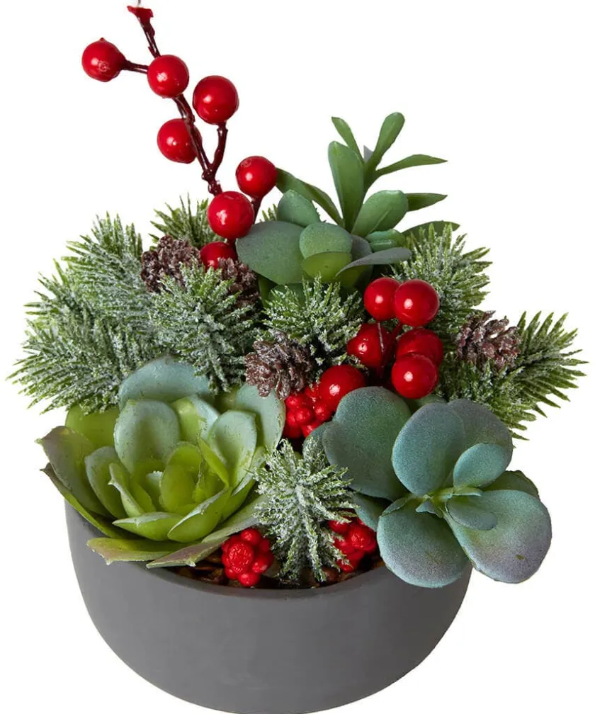 Joe Browns Tis The Season Succulent- Home Accessories|Christmas Homeware