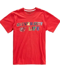 Joe Browns University Of Life Tee- T-Shirts & Tops