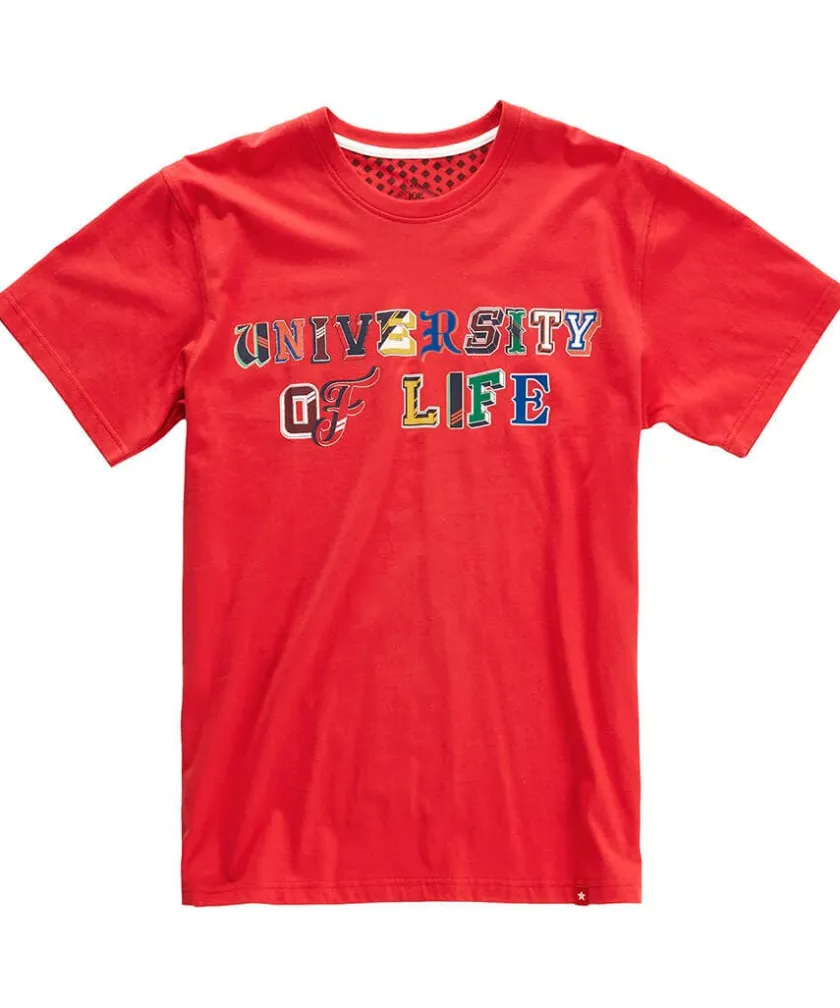 Joe Browns University Of Life Tee- T-Shirts & Tops