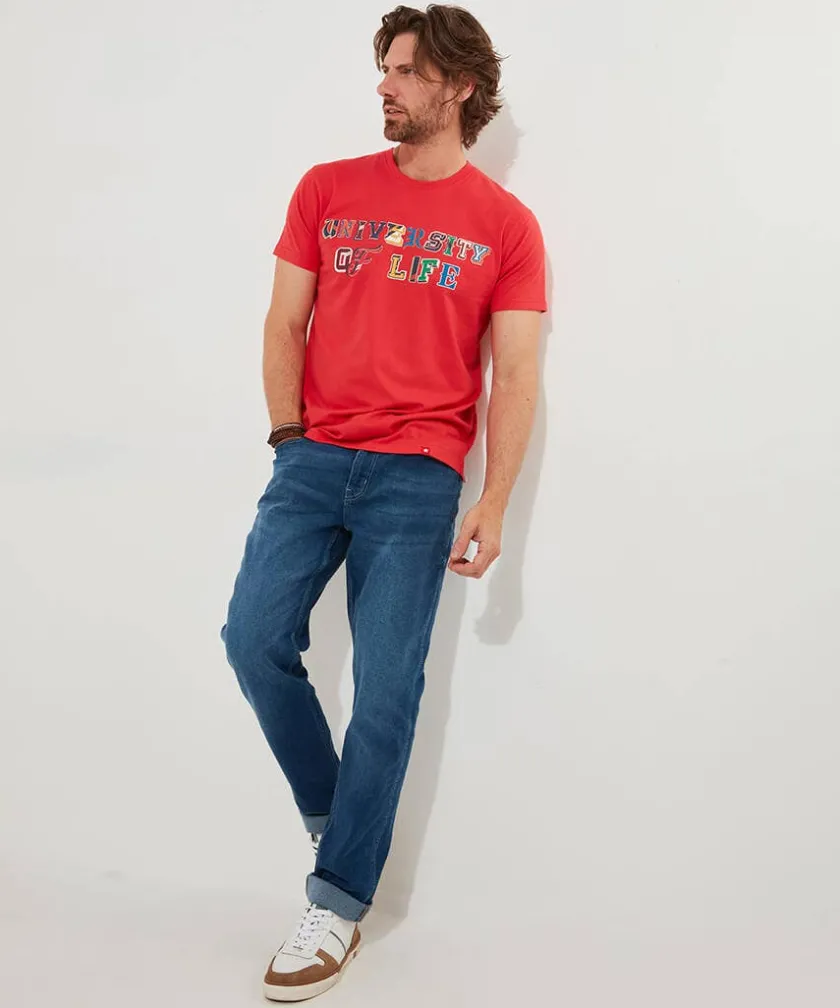 Joe Browns University Of Life Tee- T-Shirts & Tops