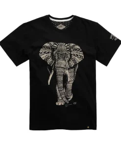 Joe Browns Wild Side Tee- T-Shirts & Tops